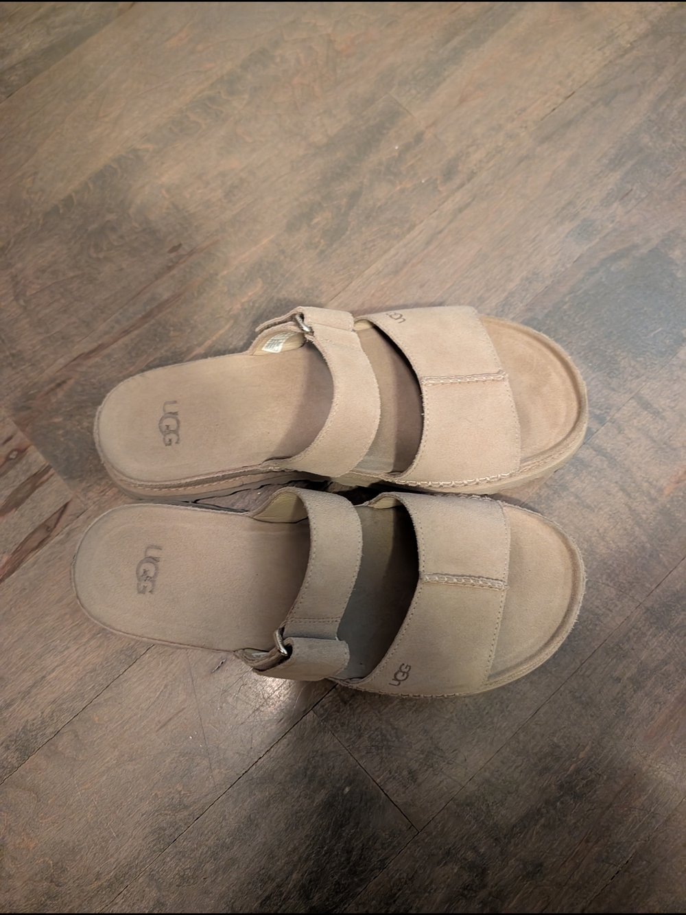UGG Suede Slide Sandals in Chestnut